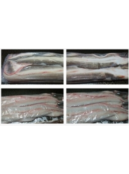 냉동아나고(1kg)